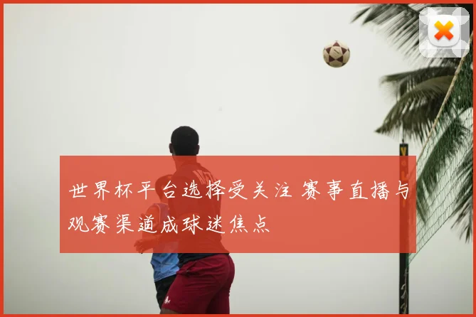 世界杯平台选择受关注 赛事直播与观赛渠道成球迷焦点