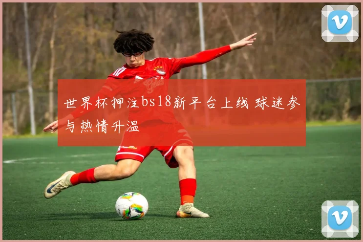 世界杯押注bs18新平台上线 球迷参与热情升温