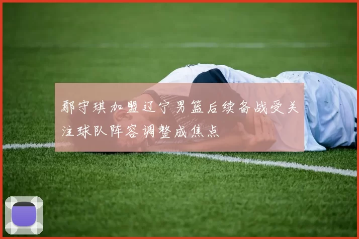 鄢守琪加盟辽宁男篮后续备战受关注球队阵容调整成焦点