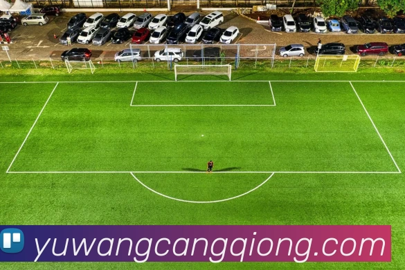 头号玩家·(龙八)唯一官方网站服务体系